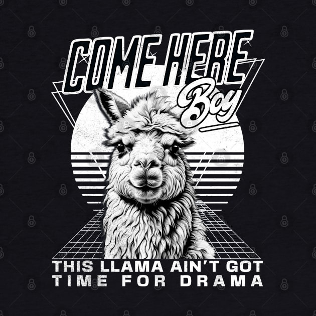 No Drama Llama by alcoshirts